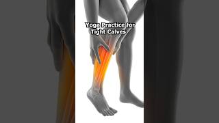 Yoga for Calves and Shins  10 Minute Yoga Stretches and Massage for Tight Lower Legs and Ankles [upl. by Arjun950]