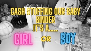 Special Edition Cash Stuffing Baby Binder  Gender Reveal [upl. by Hofstetter384]