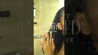 let’s try cecred hair products on my curly hair  HONEST review  first impressions ➰ [upl. by Annaer869]