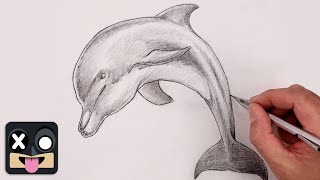 How To Draw a Dolphin  Sketch Tutorial for Beginners [upl. by Bulley]