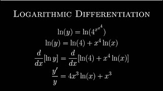 Logarithmic Differentiation Example [upl. by Carlina]