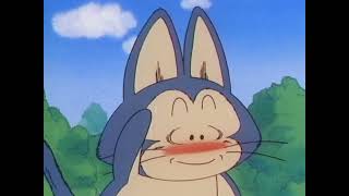 im attracted to Puar from dragon ball [upl. by Nessaj]