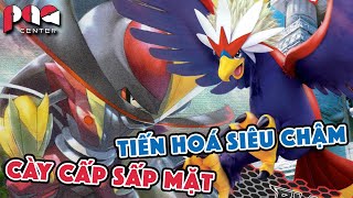 TOP 10 Pokemon có có Level Tiến Hoá CAO NHẤT   10 Highest Level Pokémon Evolutions  PAG Center [upl. by Nomla]