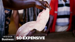 How Chinese Demand For Fish Maw Swim Bladder Fuels A 52 Million Industry In Uganda  So Expensive [upl. by Patman971]