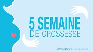 5 semaines de grossesse  Semaine 5 de grossesse  La grossesse semaine par semaine [upl. by Ahselyt]