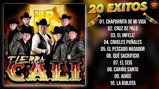 Tierra Cali Mix 2024  20 Grandes Éxitos Mix  100 Tierra Caliente Mix 2024 [upl. by Nagaem309]