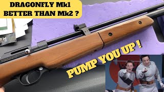 Seneca Dragonfly 177 cal Mk1  Shooting Test amp Review [upl. by Arba]