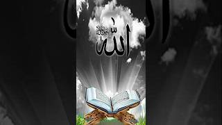 Beautiful Islamic videoz ❤️Islamic status Quotes amp Quran verses🥰 short videoz ❤️❤️ [upl. by Saravat]