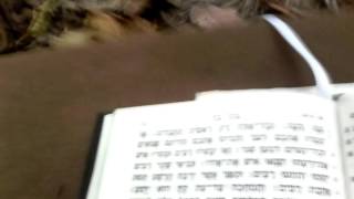 New Testament in Biblical Hebrew [upl. by Matta924]