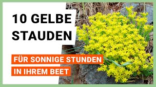 10 gelbe Stauden für sonnige Stunden im Beet [upl. by Phare]