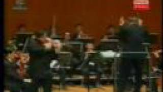 Sibelius Violin Concerto in d minor 1st mvt  Part 1 [upl. by Heidi]