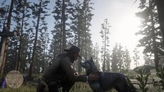 Red Dead Redemption 2  RDR2  SIBERIAN HUSKY  LOCATION  ZOOLOGIST 47 [upl. by Ydna600]