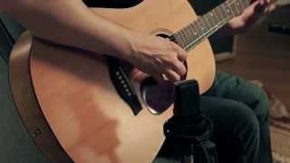 Seagull Original S6 Dreadnought Acoustic Guitar Demo [upl. by Leihcey919]