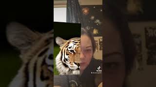 Spirit Animal Filter Remix tiktok [upl. by Norvall415]