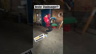 Bester Staubsauger ohne Aufladen 😂pferd horse reiten equestrian pony allgäu pferde riding [upl. by Kirk]