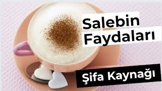 SALEBİN FAYDASI VARMI  Salebin Faydaları  Salebin Zararları [upl. by Eilema]