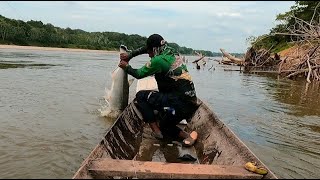 Pescando en la carpa Guaviare Colombia y participando en el torneo de pesca el caimán rumbero [upl. by Marte80]