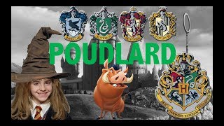 15 CHOSES À SAVOIR SUR POUDLARD [upl. by Stretch913]