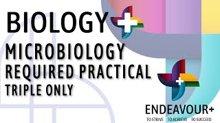 BIOL1 Microbiology Required Practical Triple Only [upl. by Harol]