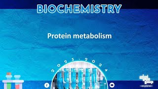 L 21 Protein metabolism 1 Amino acid pool and Oxidative deamination of amino acids Biochemistry [upl. by Judith]