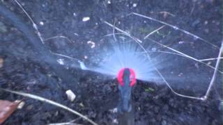 Micro sprayer 180 degree Garden irrigation [upl. by Darnok496]