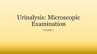 Urinalysis Basics Microscopic Examination of Urine [upl. by Egon]