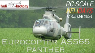 RC HELIFACTORY EUROCOPTER AS565 PANTHER RC Scale Helicopter Show 2024 [upl. by Apple808]