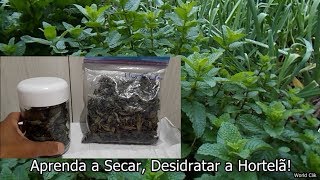 Aprenda a Secar Desidratar Ervas Aromáticas e Medicinais Hortelã [upl. by Ninerb]