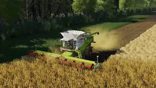 LS19  Papenburg Map CLAAS LEXION 780 [upl. by Chin629]