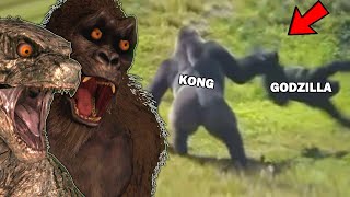 FUNNIEST Godzilla vs Kong MEMES with KONG [upl. by Haissi]