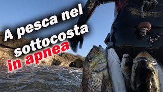 A PESCA nel SOTTOCOSTA in APNEA  Michele Giurgola [upl. by Roon528]