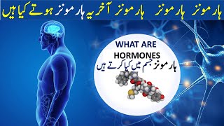 Hormones  What are Hormones amp Their Function in body UrduHindi  Hormones kaisy kam karty hain [upl. by Buchalter]