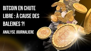 ‼️ Chute du Bitcoin  Les Baleines Crypto en profitent  Analyse Cryptomonnaies 📈 [upl. by Fabri74]