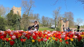 Floralia Brussels  GrootBijgaarden Castle  Belgium  Imee Art and Craft [upl. by Coffin]