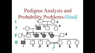 Pedigree Analysis and Probability Problems Hindi [upl. by Isdnyl817]