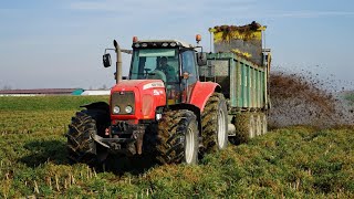 SPARGIMENTO LETAME Massey Ferguson 6499 OPEN PIPE  Fiorentini 3 assiManitou 940 Manure spreading [upl. by Liakim466]