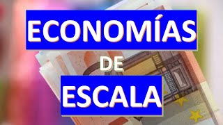 Economías y deseconomías de Escala [upl. by Neukam]