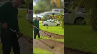 Extreme Lawn Care Adventures Mowing Tall Grass and Transforming Yards [upl. by Alvar159]