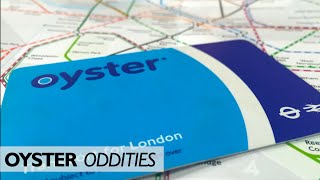 Oyster Oddities  Are You Paying Too Much [upl. by Eislrahc]