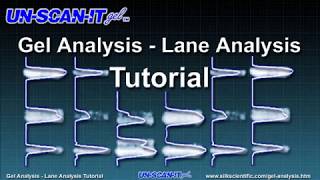 Gel Analysis  Lane Analysis Tutorial [upl. by Adnolehs178]