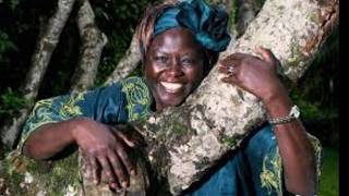 Biographie de Wangari Maathai n°8 [upl. by Ahpla]