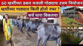 सर्व चारा विकतचा घेऊन कस चालत म्हशींच्या गोठ्याच नियोजन   Buffalo dairy farm in maharashtra [upl. by Aimas]