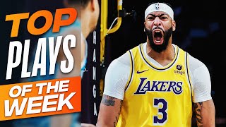 NBAs Top Plays of Week 10  202324 Season [upl. by Kcirdot766]