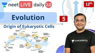 NEET Evolution  L5  Class 12  Live Daily 20  Unacademy NEET  Pradeep Singh [upl. by Auerbach]