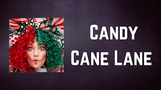 Sia  Candy Cane Lane Lyrics [upl. by Whittaker980]