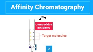 Affinity Chromatography With Animation [upl. by Caneghem]