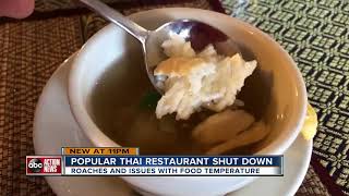 Dirty Dining Thai Cuisine shut down twice in March for too many roaches to count in the kitchen [upl. by Lahtnero]