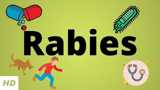 Rabies Causes SIgn and Symptoms Diagnosis and Treatment [upl. by Melessa666]