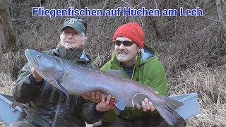 Fliegenfischen auf Huchen am Lech  Fly Fishing in Germany Giant Catch [upl. by Frodine36]