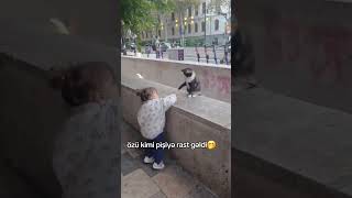 Banu vs pişik 🐱😂 [upl. by Latsryk110]